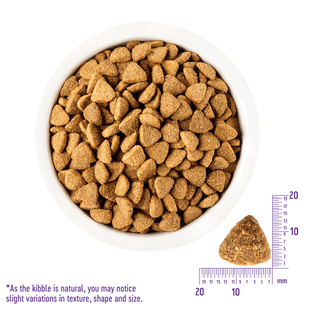 core grain free large breed puppy dry dog food – League of Pets