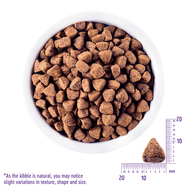 core grain free wild game dry dog food